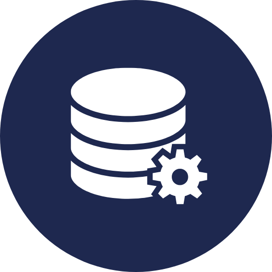 Data Icon